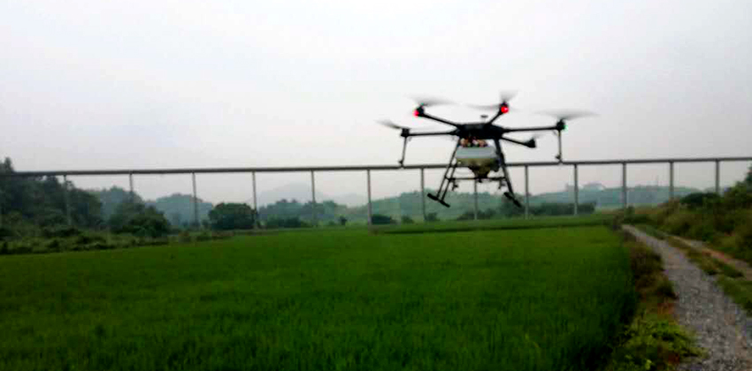 無人機(jī)噴施葉面阻控劑 無人機(jī)噴施葉面阻控劑