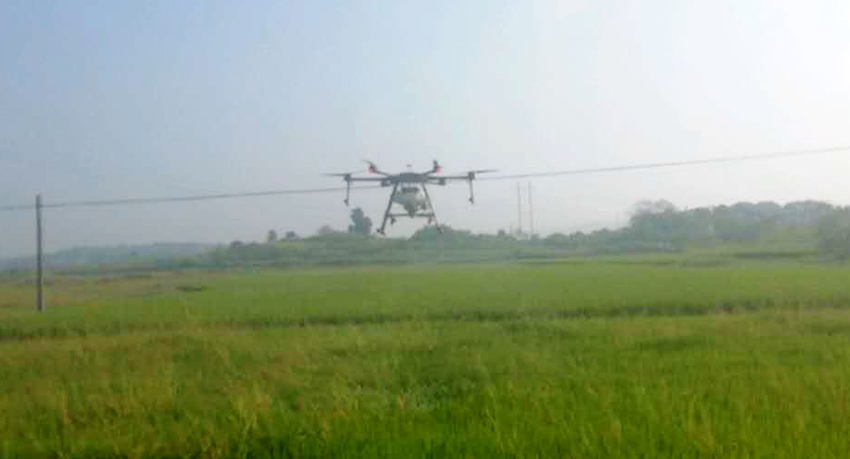 無人機(jī)噴施葉面阻控劑 無人機(jī)噴施葉面阻控劑