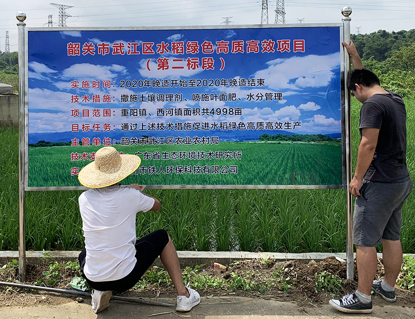 韶關市武江區水稻綠色高質高效項目