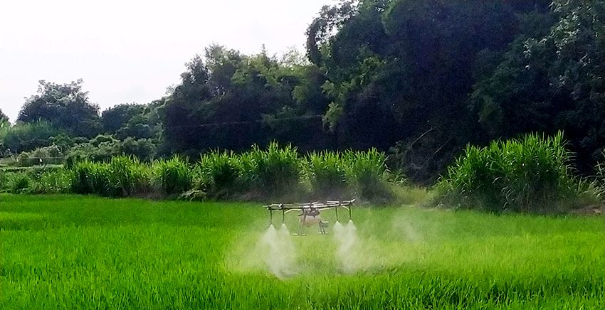 開化縣無(wú)人機(jī)噴施項(xiàng)目