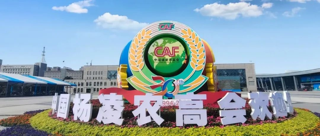 1695608430549426.png 640.png