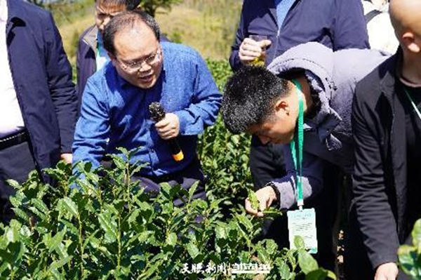 1711423796618133.png 2.2.png